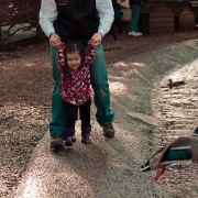 bk-2013-mar-1-of-1-13