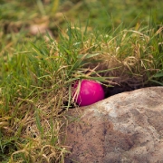 bk-easter-1-of-1-16