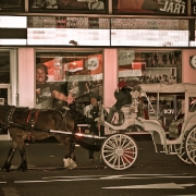 680501709_tsq-day-4-19