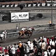 660396510_canada-day-hastings-park-3-2